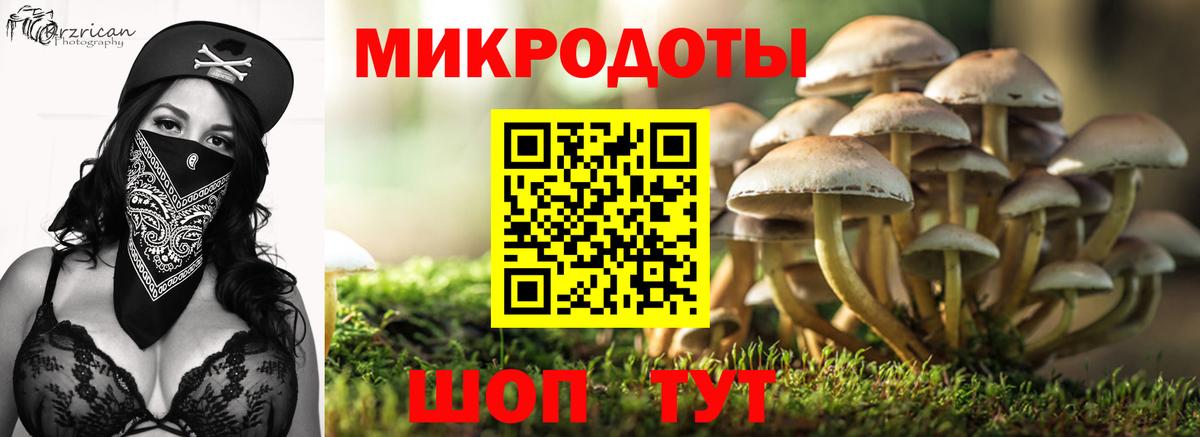 Галлюциногенные грибы Cubensis  Галлюциногенные грибы мицелий  Вход с VPN  Новый Уренгой 